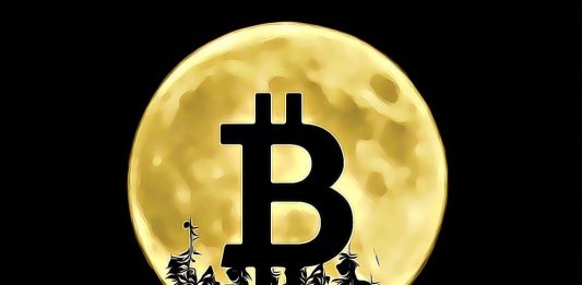 bitcoin moon obchodovani trading predikce