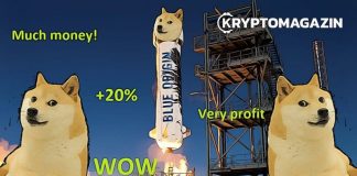 Elon Musk nadále podporuje DOGE - Podívejte se, co přidal na svůj Twitter!